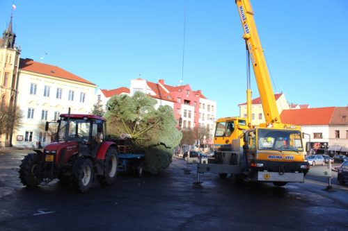 Stavění vánočního stromu
